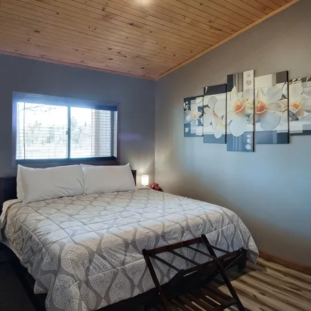 Private Hot Tub! KING Size Bed Traverse City 18 miles *Crystal Mountain 17 miles Отели в г. Интерлошен