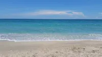 Charming Beach Cottage, 100 Steps to the Beach. Pet friendly. King Bed. - ビーチサイド