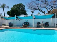 Private Solar Heated Salt Water Pool- Minutes from Everything in St. Pete! - Bungalows