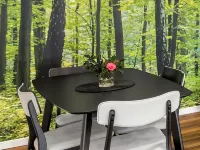 Secluded Luxury 2BR Rainforest Retreat Free Wi-Fi Hotels in Springbrook