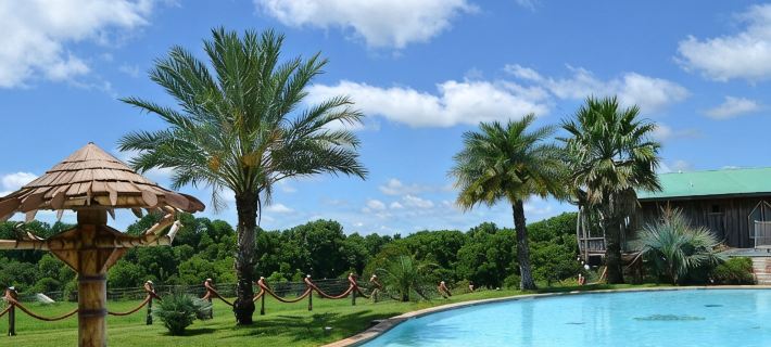 Las Palmas Tree Haus - Cloud Lane Hotels in Guadalupe County