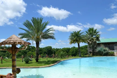 Las Palmas Tree Haus - Cloud Lane - 4-Star