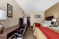 Comfort Inn Horn Lake - Southhaven - Parkplatz