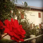 Agriturismo Colombera - Villas