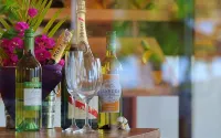 Anema Wellness Villa & Spa Gili Lombok - Diving Center Padi - 5-Star