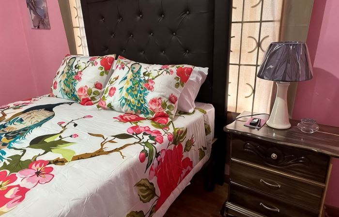 Beautiful One Bedroom with WiFi in Brumalia Mandeville, Manchester