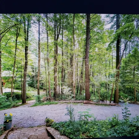 Charming 2-bedroom cabin with WiFi, AC in enchanting Blairsville