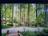 Charming 2-bedroom cabin with WiFi, AC in enchanting Blairsville