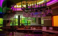查爾遜奢華酒店 - 酒吧