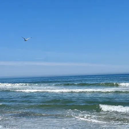 Oceanfront, private balcony, stunning panoramic views of the Atlantic
