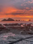 Oceanfront Retreat. Sunset Views. Whale Watching. Redwood Groves, 2 King Beds - 3-Star