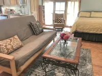 Sunny studio apartment close to downtown - 4-Star