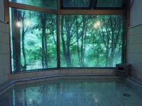 Ryokan Sakai - Hot Springs
