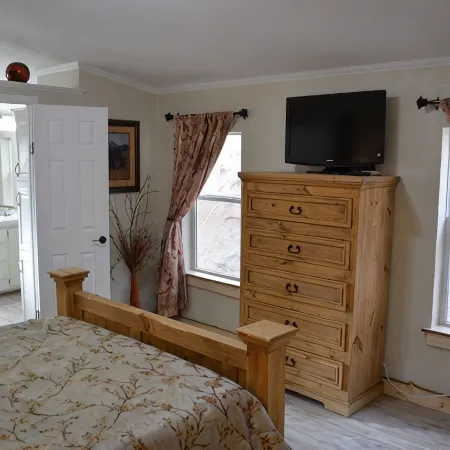 Forest cabin on 4 acres,  Newly renovated, Quiet and secluded.