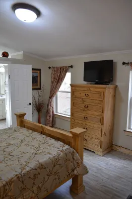 Forest cabin on 4 acres,  Newly renovated, Quiet and secluded.