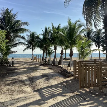 Paradise Inn Placencia - Turtle Suite on the beach