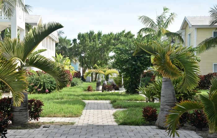 Ocean View , steps from the private beach 2 Bedroom Condo  Up to 6 guests