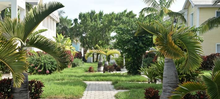 Ocean View , steps from the private beach 2 Bedroom Condo  Up to 6 guests Hotele w: Bailey Town