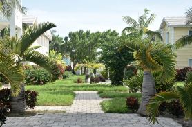 Ocean View , steps from the private beach 2 Bedroom Condo  Up to 6 guests