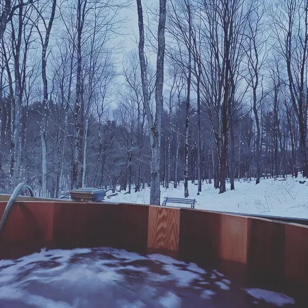 Mountain Forest Retreat w Cedar Hot Tub - Western Catskills