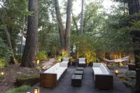 Wine Country Redwood Estate in the Heart of Wine Country - 4-Star