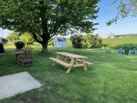 Three Oaks Home • Walk Downtown • Fire Pit • Near Beaches & Wineries • Sleeps 8 - 무료 와이파이