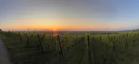 Panorama 180° - Wifi