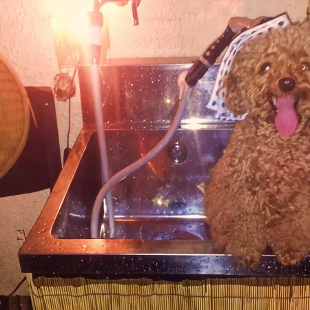 Unohamakan, a Pet-Friendly Hot Spring Inn