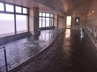 Hotel Lake Daijyu - Hot Springs