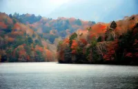 The Regent House Hotels in Katashina