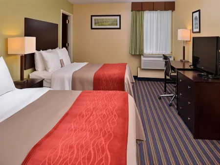 Comfort Inn & Suites East Hartford - Hartford