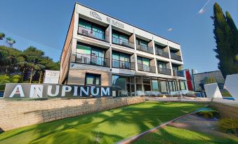Hotel Arupinum