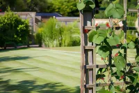 Magpies Lodge Hotels in Horsham