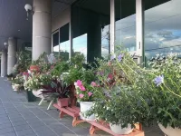 Hotel Sunfuraton Hotels in Furano