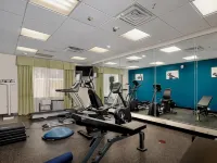 Holiday Inn Express & Suites HOUSTON NORTHWEST-BROOKHOLLOW by IHG Hotels in Houston
