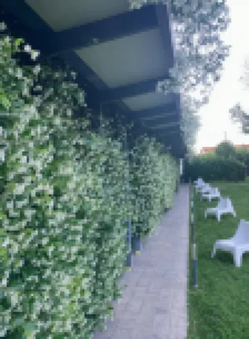 MXP Rooms Guest House