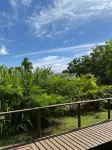 Cabañas Raupa
