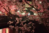 Yamayoshi Hotels in Toyooka