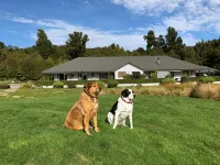 Lake Brunner Longhouse Hotels in Moana