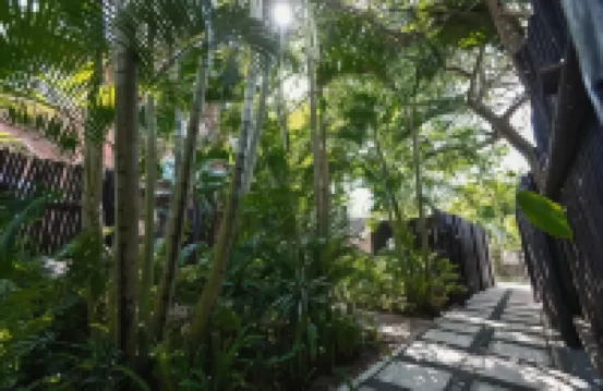 Little Eden St Lucia Hotels in St Lucia