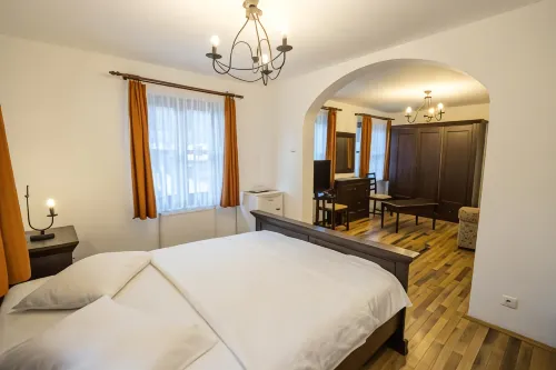 Pensiunea Rhein Hotels in Azuga