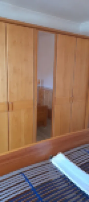 Above the clouds, in the middle of the forest