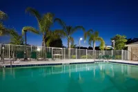 Staybridge Suites Tampa East- Brandon