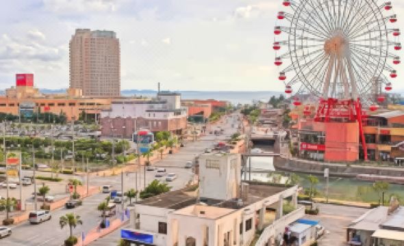 Hotel Palm Tree Hill