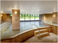 Hotel Green Plaza Hakuba - Hot Springs