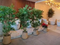 Hotel Olimpica Boutique Hotels near Museo Casa De Leon Trotsky