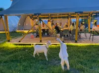 Nalati Qili Shantang Wild Luxury Homestay - Desayuno