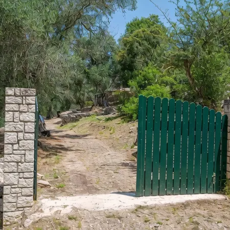The Old One by All About Paxos
