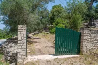 The Old One by All About Paxos - Parvekkeita