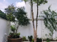Lanshangju Homestay Ξενοδοχεία στην πόλη Μπολούο